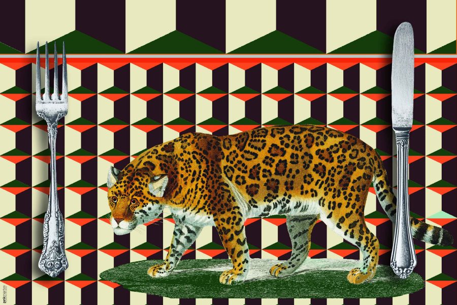 set tovagliette americane rettangolare Leopardo - PINK MARTINI