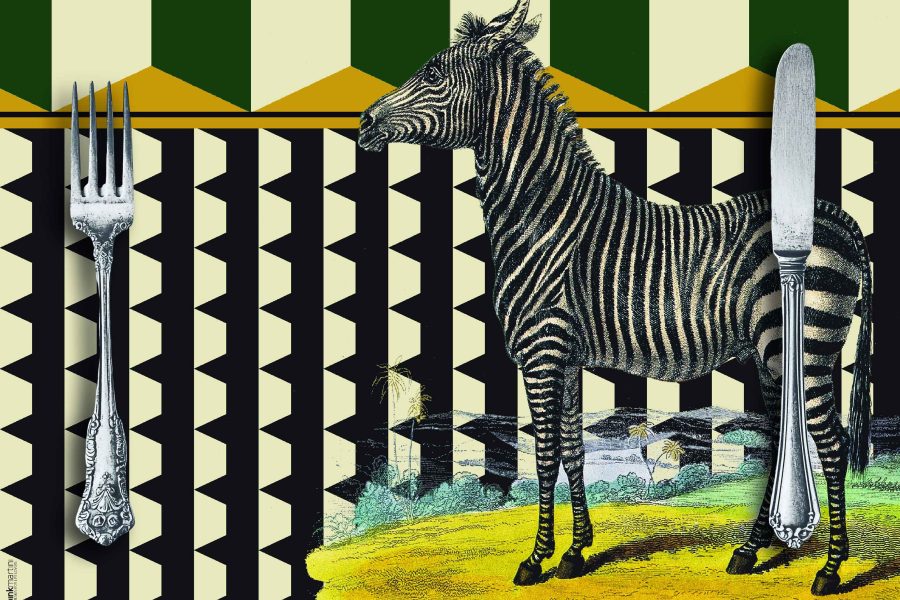 set tovagliette americane rettangolare zebra - PINK MARTINI