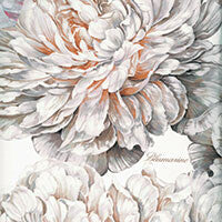 BLUMARINE COPPIA CUSCINI SOGNI 48X48 COL.PERLA
