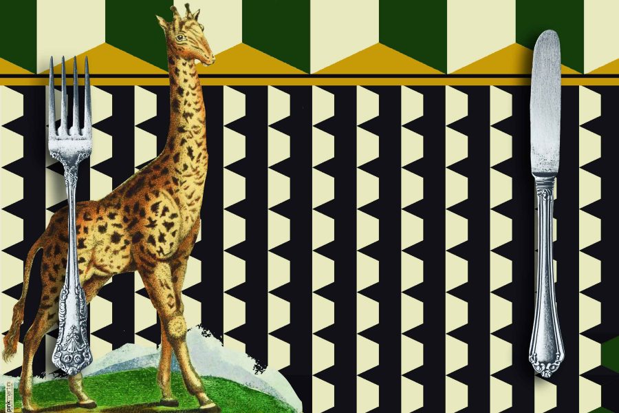 set tovagliette americane rettangolare giraffa - PINK MARTINI